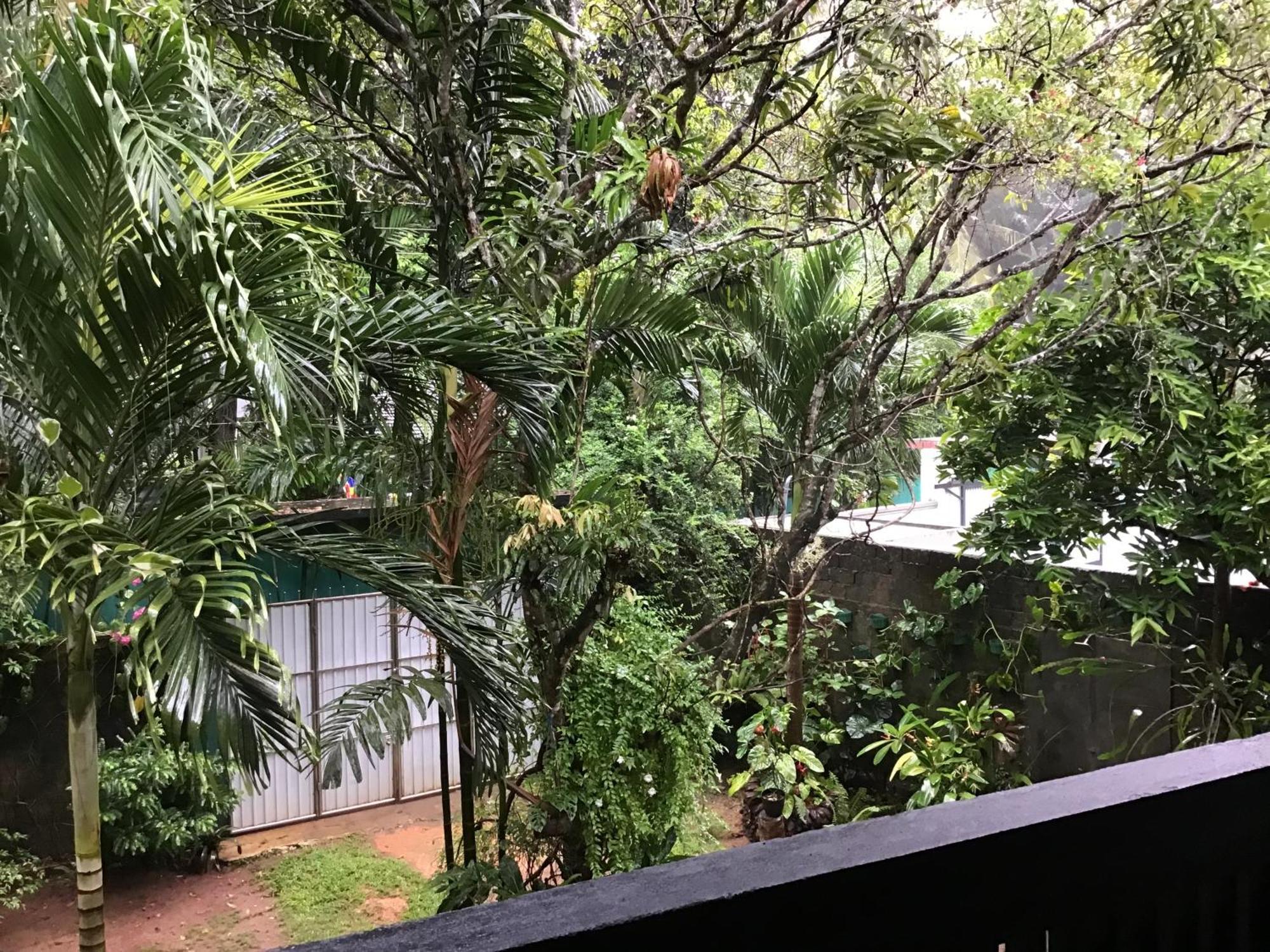 Sanjeehome & Lanka Ayurveda, Bentota Exteriör bild