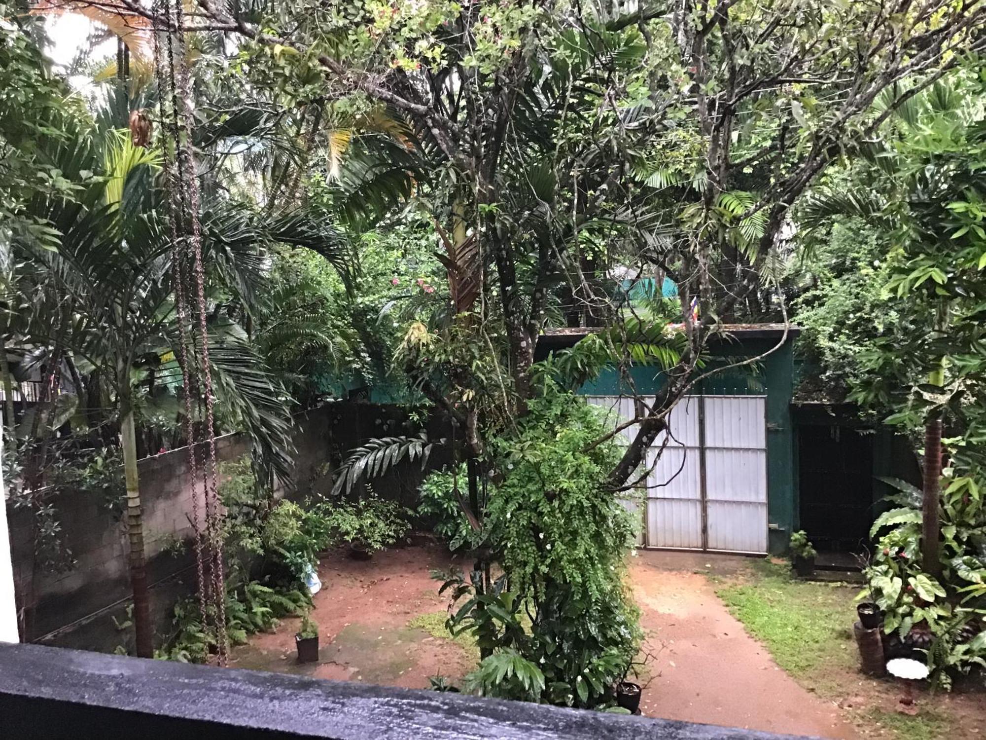 Sanjeehome & Lanka Ayurveda, Bentota Exteriör bild